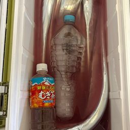タチウオ