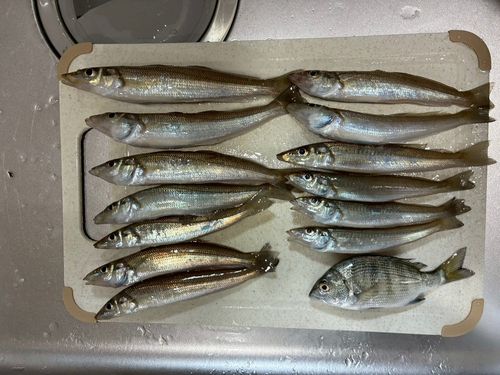 鰺ヶ沢漁港