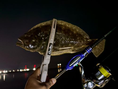 ソゲの釣果