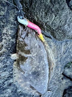 ソゲの釣果