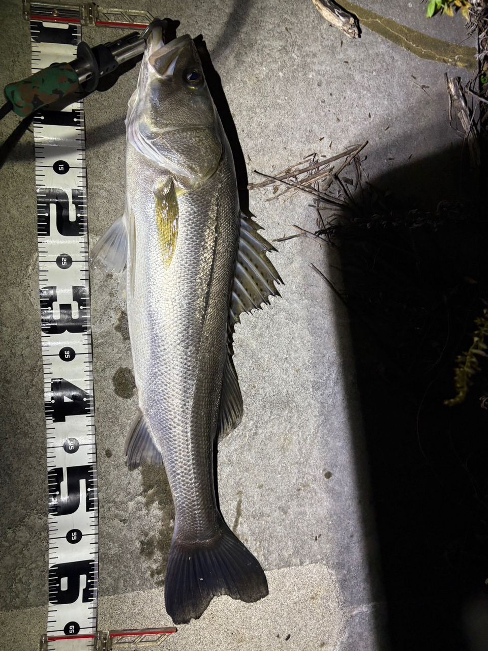 ファーストキャスト ショアジギング FCS-1002MH 楽天市場】メジャークラフト ファーストキャスト ショアジギング