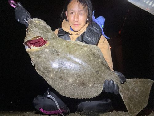 ヒラメの釣果