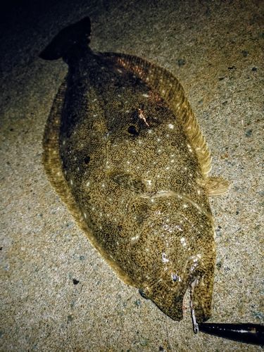寿都湾