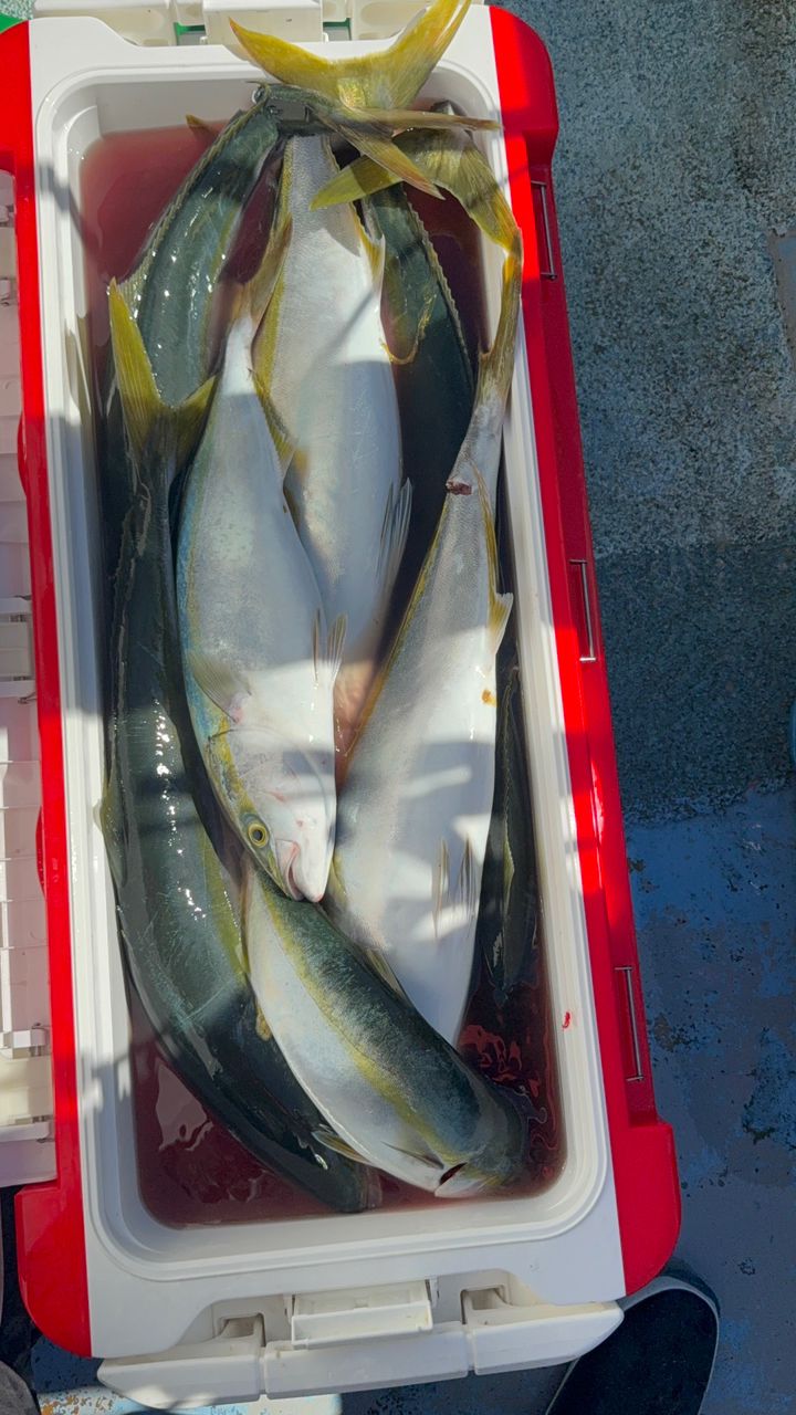 夢釣さんの釣果 2枚目の画像