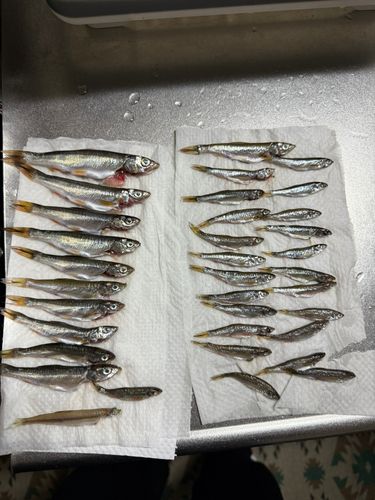 石狩湾新港