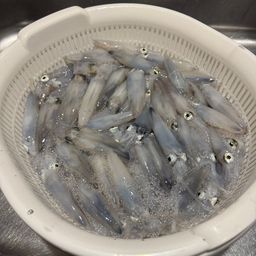 マメイカ