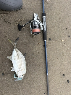 釣果