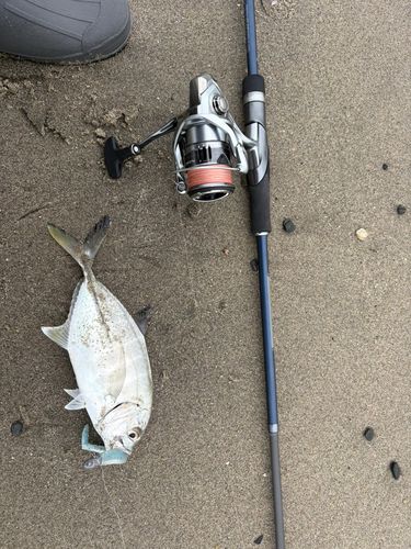 釣果