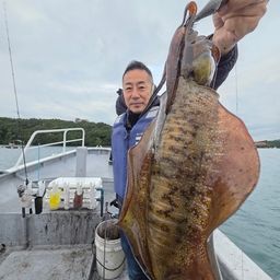 アオリイカ