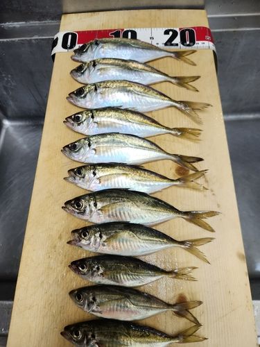 東扇島西公園