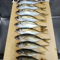 アジ