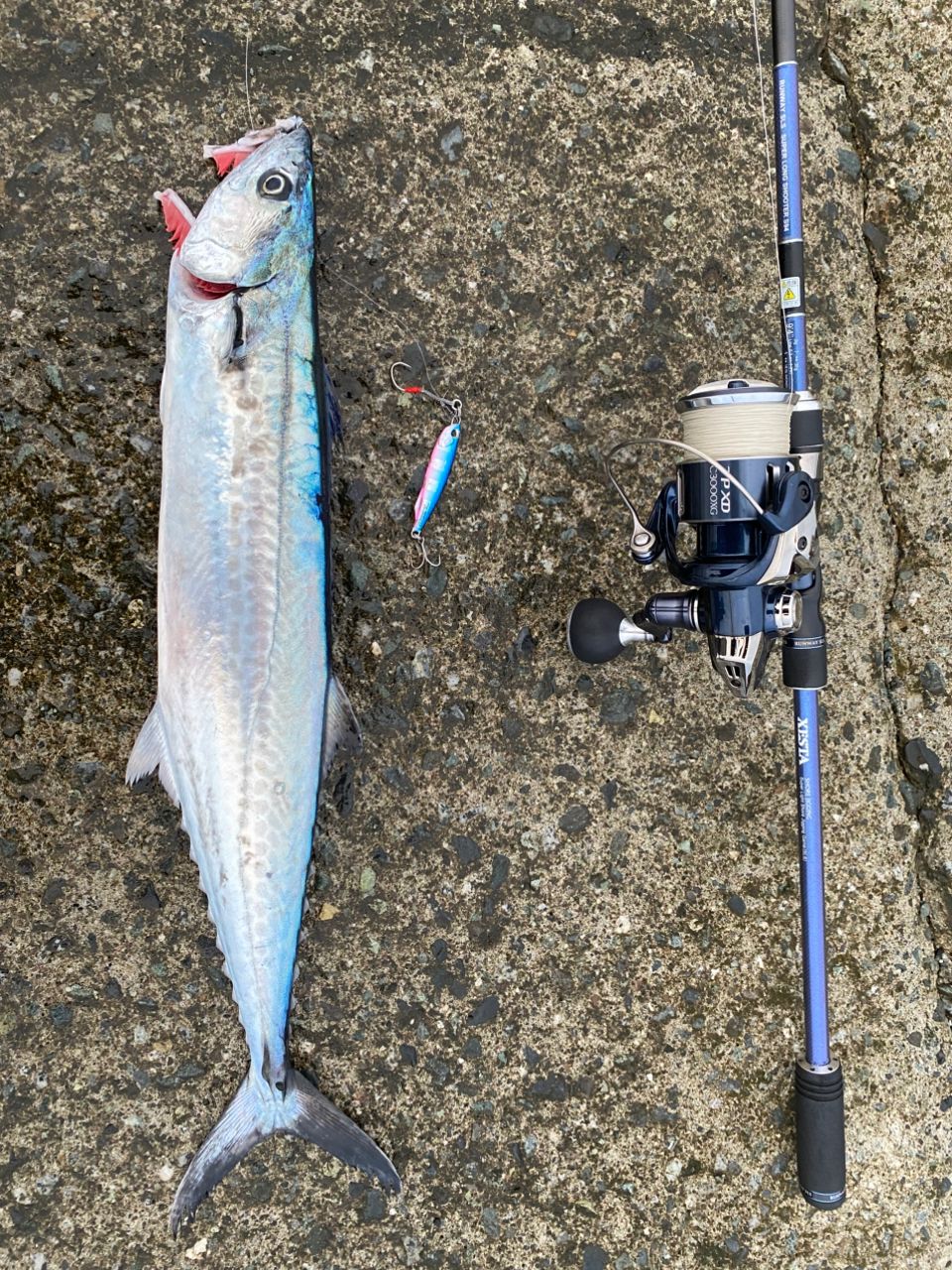 XESTA ランウェイSLS S94の最安値・インプレ・釣果 | 本音の