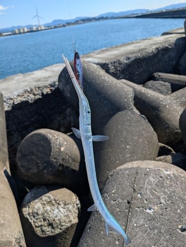 酒田本港