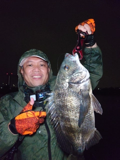 クロダイの釣果