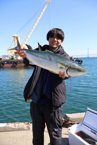 メジロの釣果