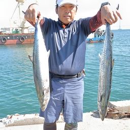 サワラ