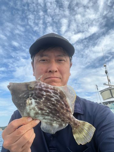 洲本沖
