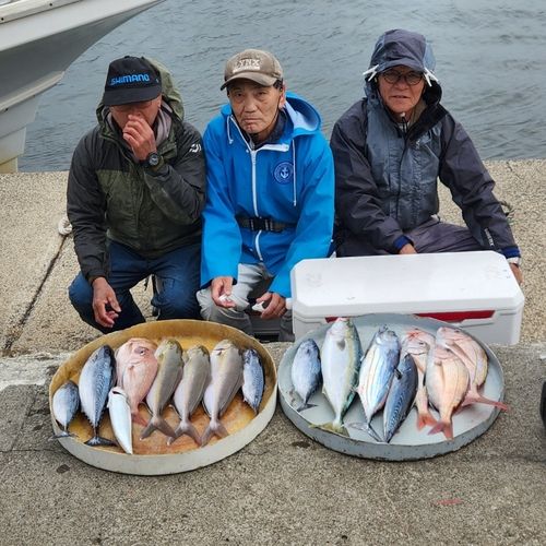 マダイの釣果