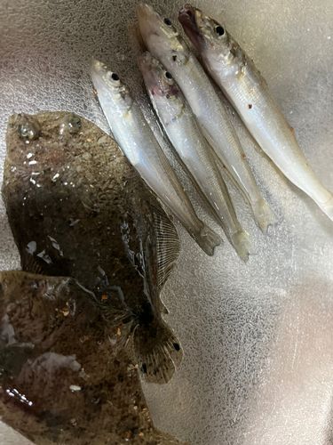 江尻埠頭