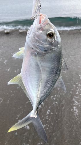 七里ヶ浜