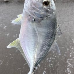 メッキ