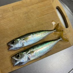 サバ