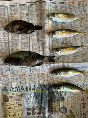 豊浜漁港