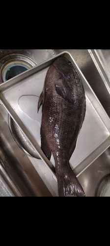 江浦湾