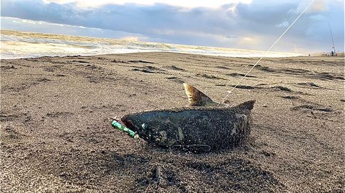 オホーツク海