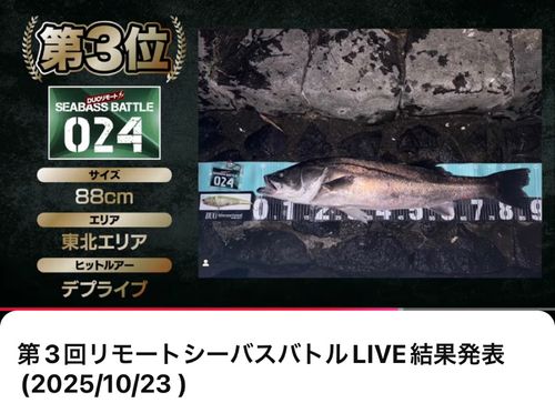 シーバスの釣果