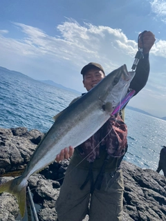 ヒラマサの釣果