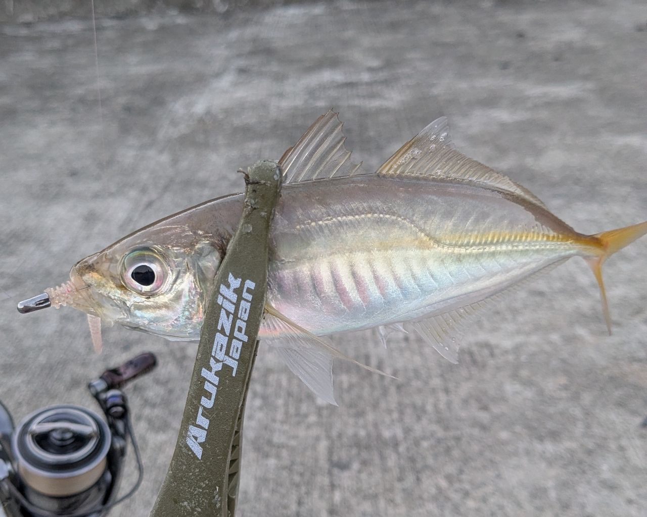 マ*サ様 ラグゼ 宵姫 爽 S58FL-solid がまかつ ラグゼ 宵姫 爽 S58FL-solidをレビュー！クチコミ