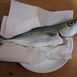 イナダ