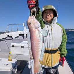 シロアマダイ
