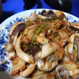 アオリイカ