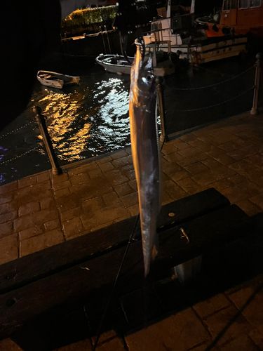 浦賀