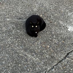 メッキ