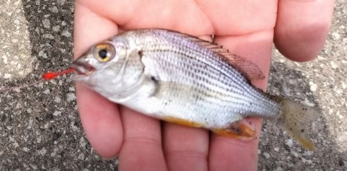 金沢プール前