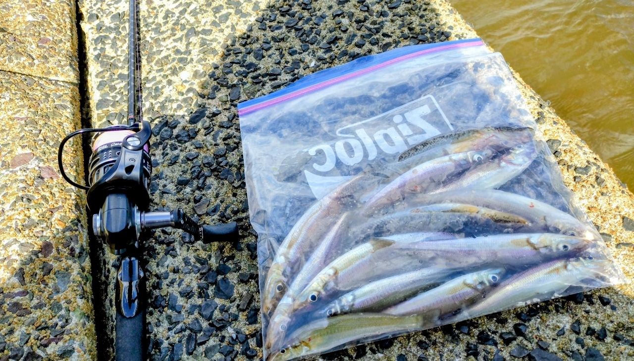 DAIWA 18チニング X 76MLの最安値・インプレ・釣果 | 本音の口コミが