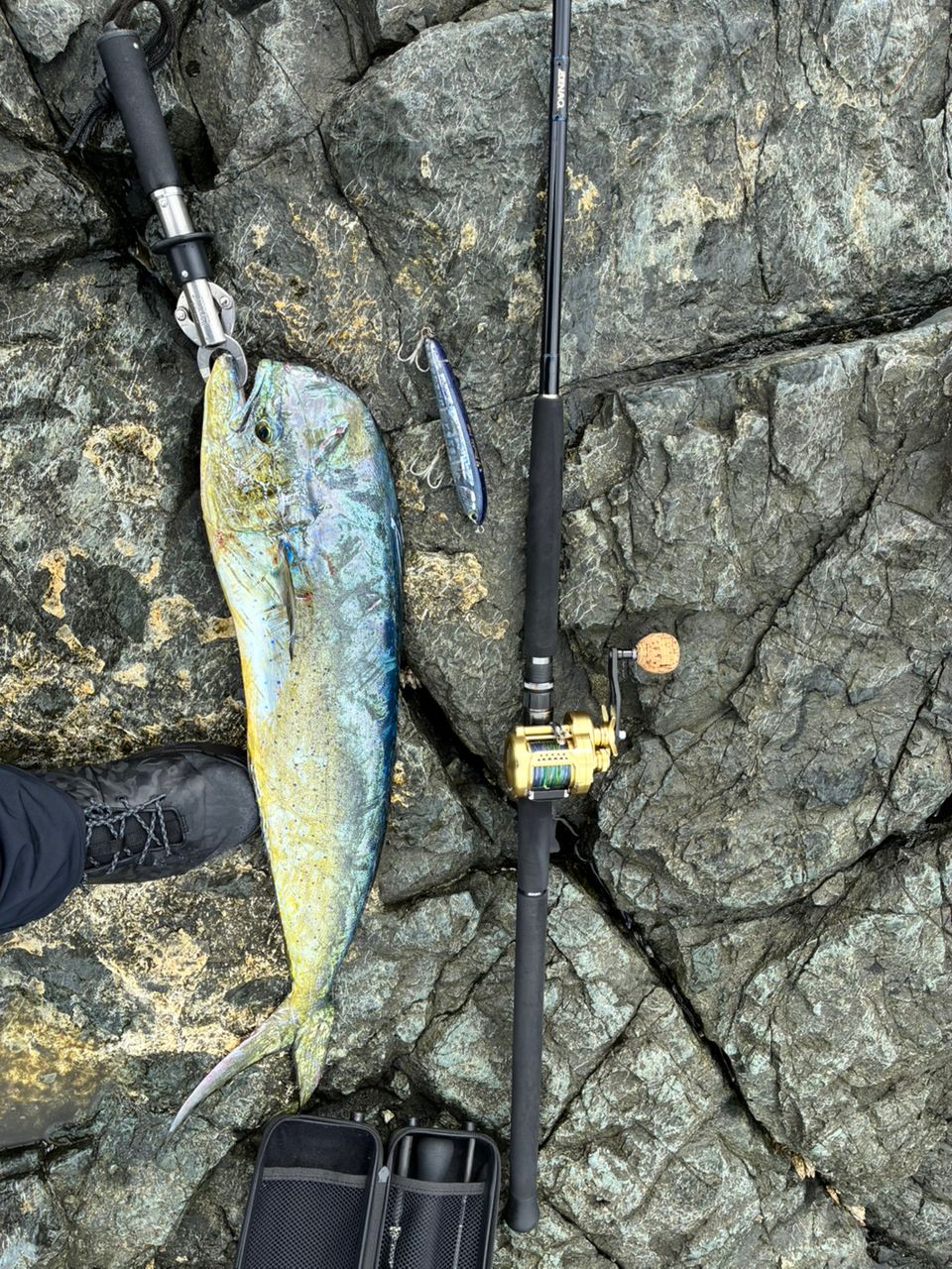 サガンティーノ ミュートスアキュラ100H ベイト サガンティーノ様専用 ミュートスアキュラ100H ベイト