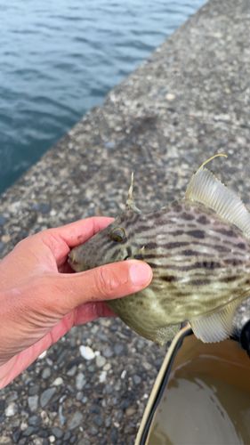 木負堤防