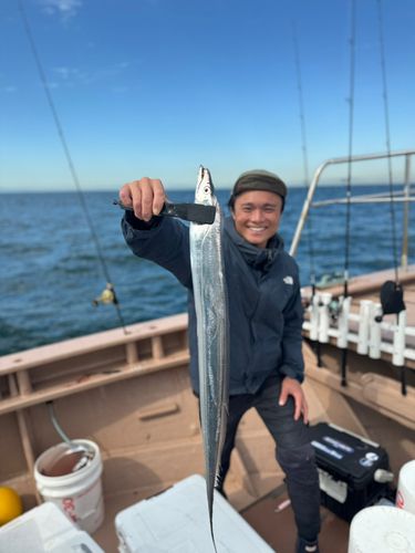 タチウオの釣果