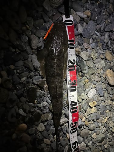 茅ヶ崎海岸