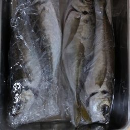 アジ