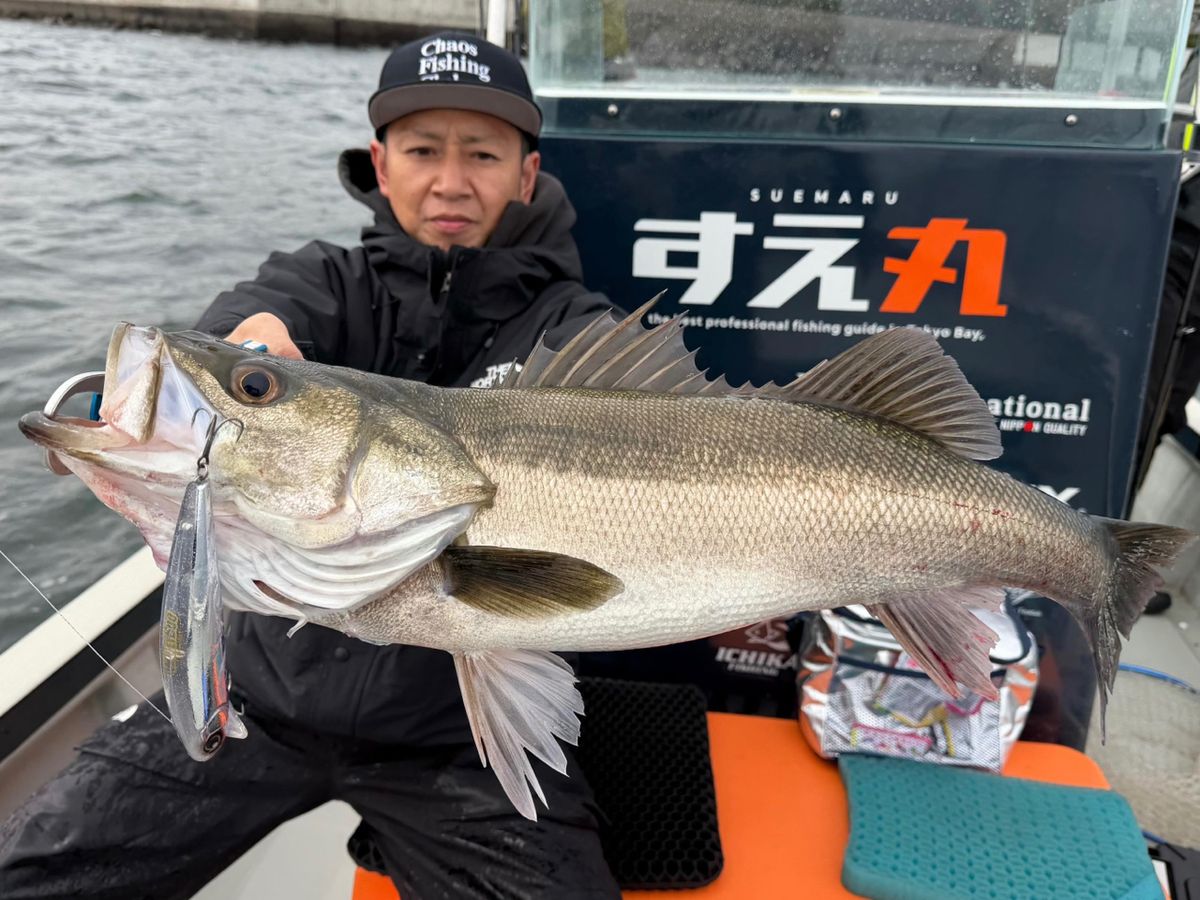 こんけんさんの釣果 1枚目の画像