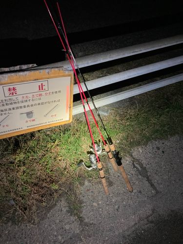 表浜名湖