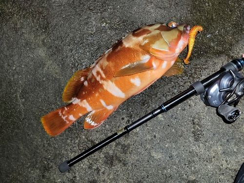 西伊豆