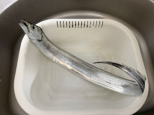 金沢水際線緑地（福浦岸壁）