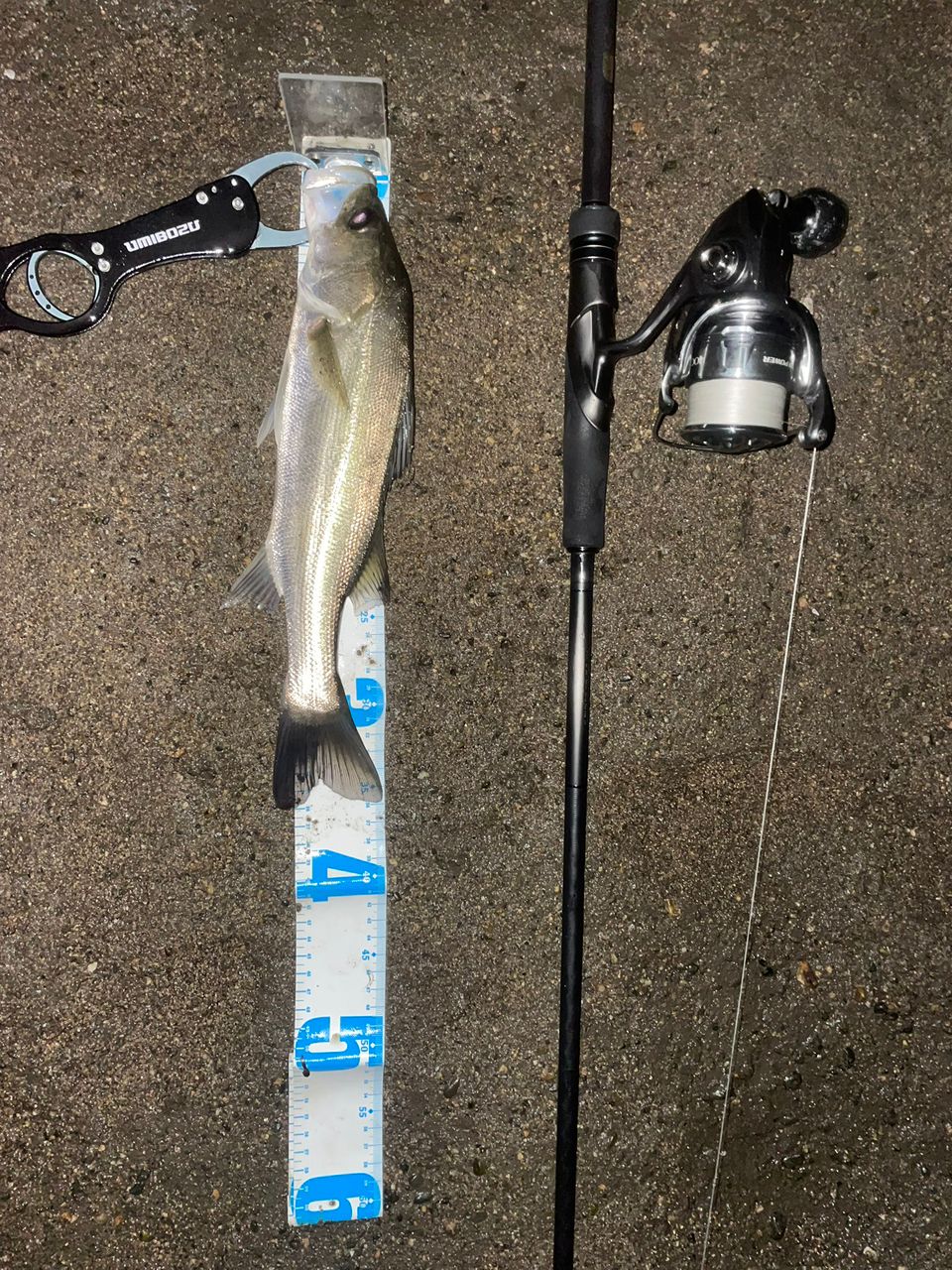 SHIMANO 23ディアルーナ S96MHの最安値・インプレ・釣果 | 本音