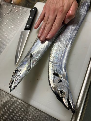 海辺つり公園